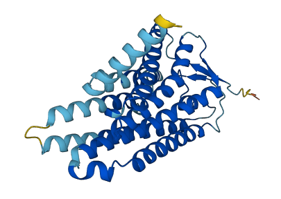 OR4F3 3D structure
