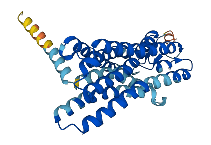 OR2T2 3D structure