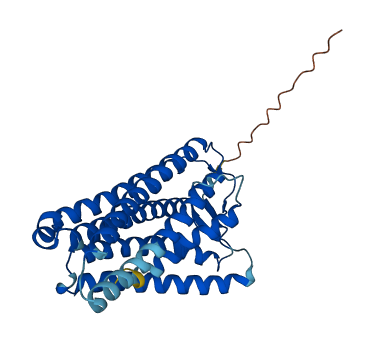 OR8G2P 3D structure