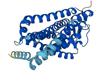 OR4A47 3D structure
