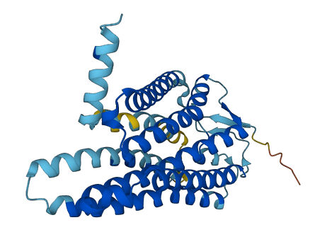 OR10K2 3D structure
