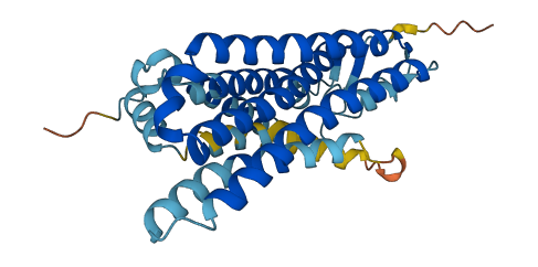 OR6B2 3D structure