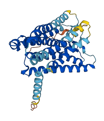 OR7E24 3D structure