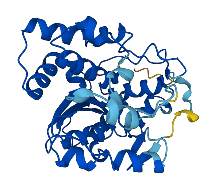 SULT1C3 3D structure