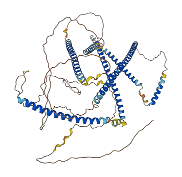 IQCE 3D structure