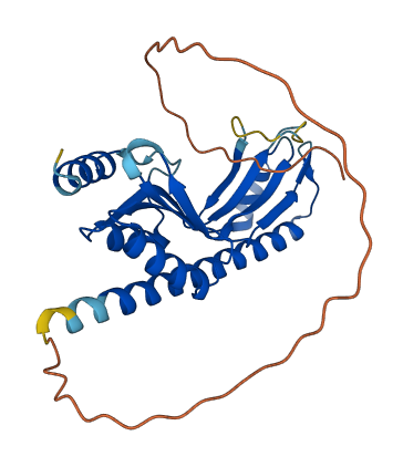 TYW3 3D structure