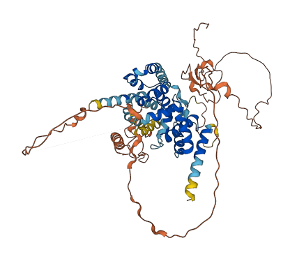 TBC1D3C 3D structure