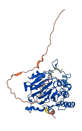 NAPEPLD 3D structure