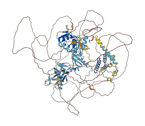 ADNP2 3D structure