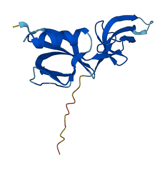 EIF5AL1 3D structure