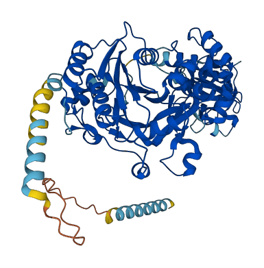GALNT17 3D structure