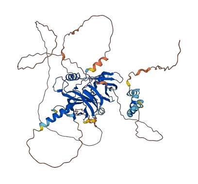 GRHL2 3D structure