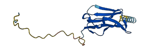 LAIR2 3D structure