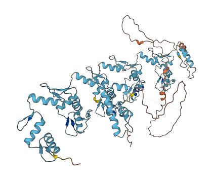 ZNF425 3D structure