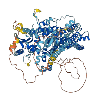ANO7 3D structure