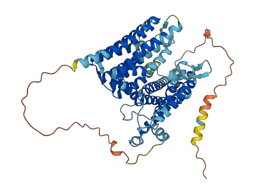 SLC8B1 3D structure
