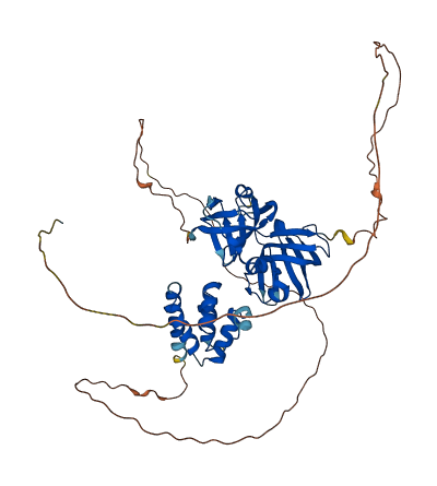PYHIN1 3D structure