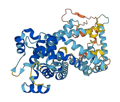 SLC25A25 3D structure