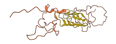 KRTAP5-10 3D structure