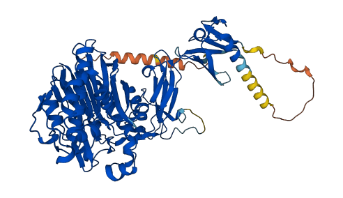 PDE12 3D structure