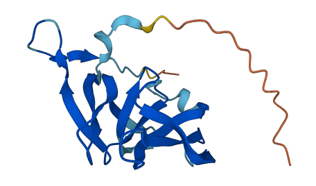 FAM72D 3D structure