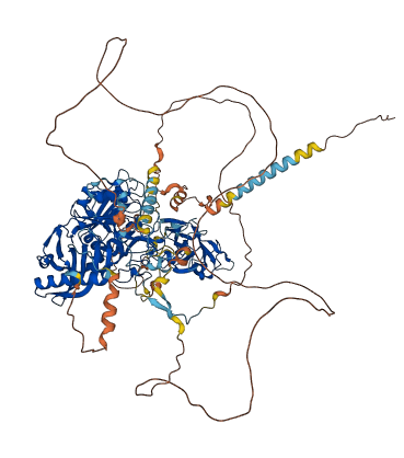 B4GALNT3 3D structure