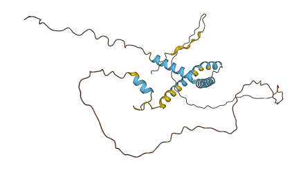G4 3D structure