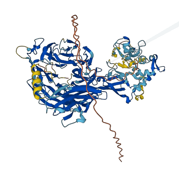 FSTL4 3D structure