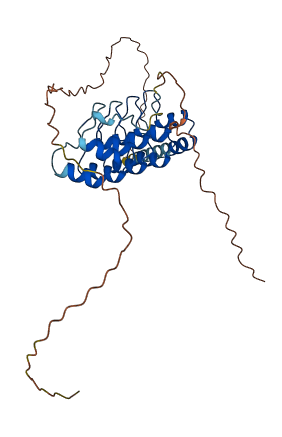 ANKRD26P1 3D structure