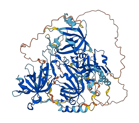 RADX 3D structure