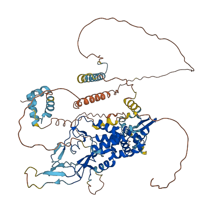 KIAA1841 3D structure