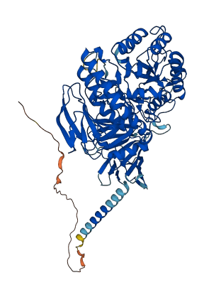 MYORG 3D structure