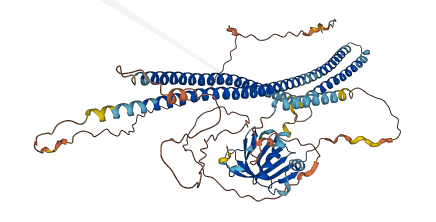 PHLDB3 3D structure