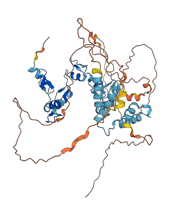 ZSCAN25 3D structure