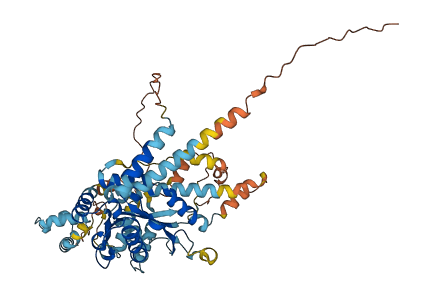 TIGD7 3D structure