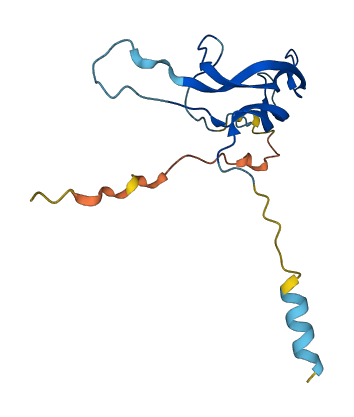 CGB2 3D structure