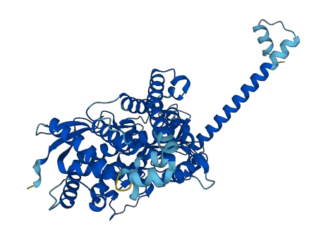 CYP4F22 3D structure