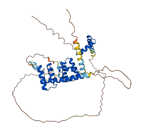 HMBOX1 3D structure