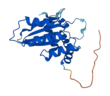 APOBEC3H 3D structure