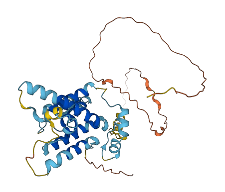 RHBDD2 3D structure
