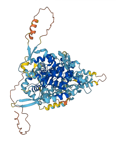 GPAT2 3D structure