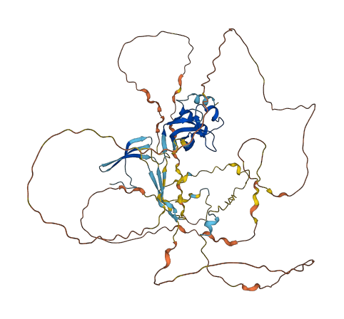 PWWP2B 3D structure