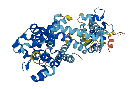 SLC25A24 3D structure