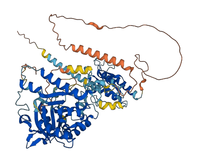 TYW1B 3D structure