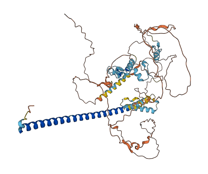 ZNF746 3D structure