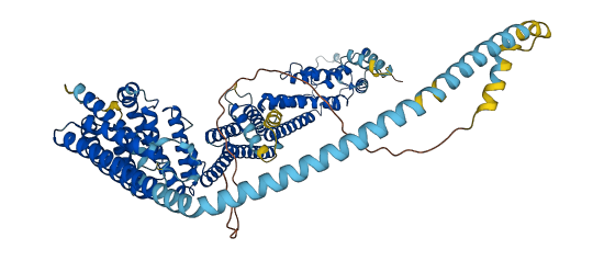 RINT1 3D structure