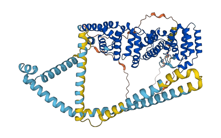 TMEM214 3D structure