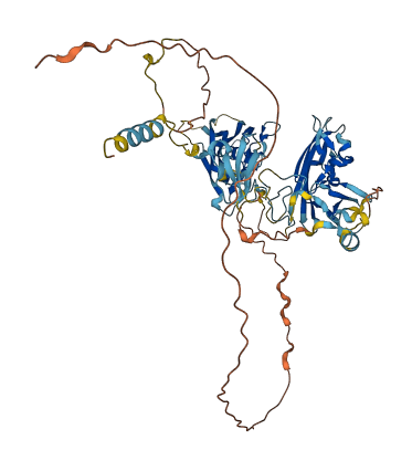 TCTN3 3D structure