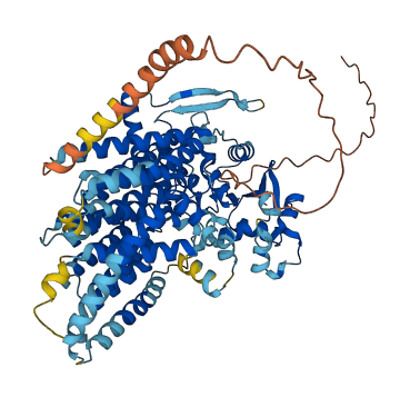 DPY19L2 3D structure