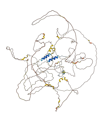KIAA1211L 3D structure